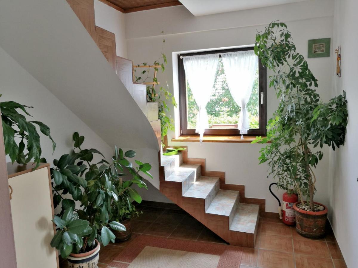 Willa House Marica Poljanak Zewnętrze zdjęcie